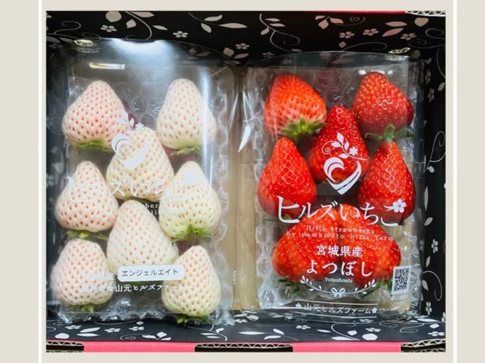 白いエンジェルエイトと赤いよつぼしを並べた紅白の食べ比べギフト